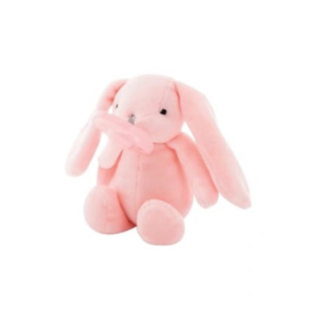 MINIKOIOI SLEEP BUDY+SUCETTE ROSE 