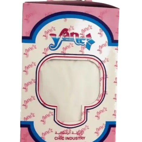  YANE PROTEGE MATELAS 2P 240*200