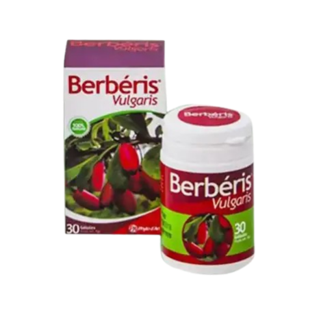 BERBERIS VULGARIS BT 30 GELULES