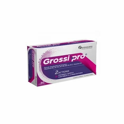  GROSSI PRO BT/30 